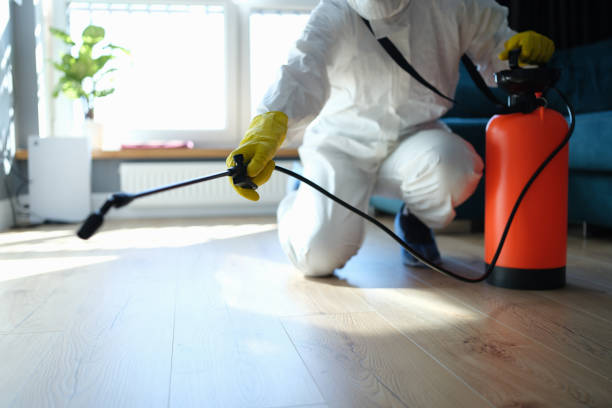 Trusted Odor Removal service in Washington Court House, OH - Four Month Blood Cleanse